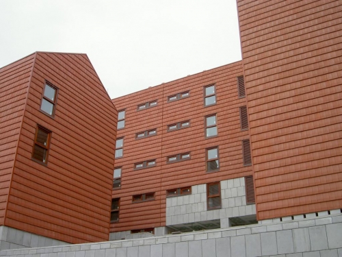 VIVIENDAS VPO ETXEBARRI. Construido 2008